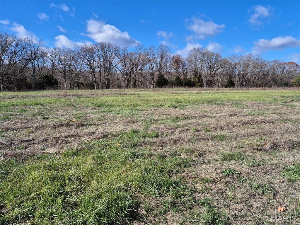 Photo of 0 Logan School Rd. (28.2+/- Acres), New Florence, MO 63363 (MLS # 25079794)