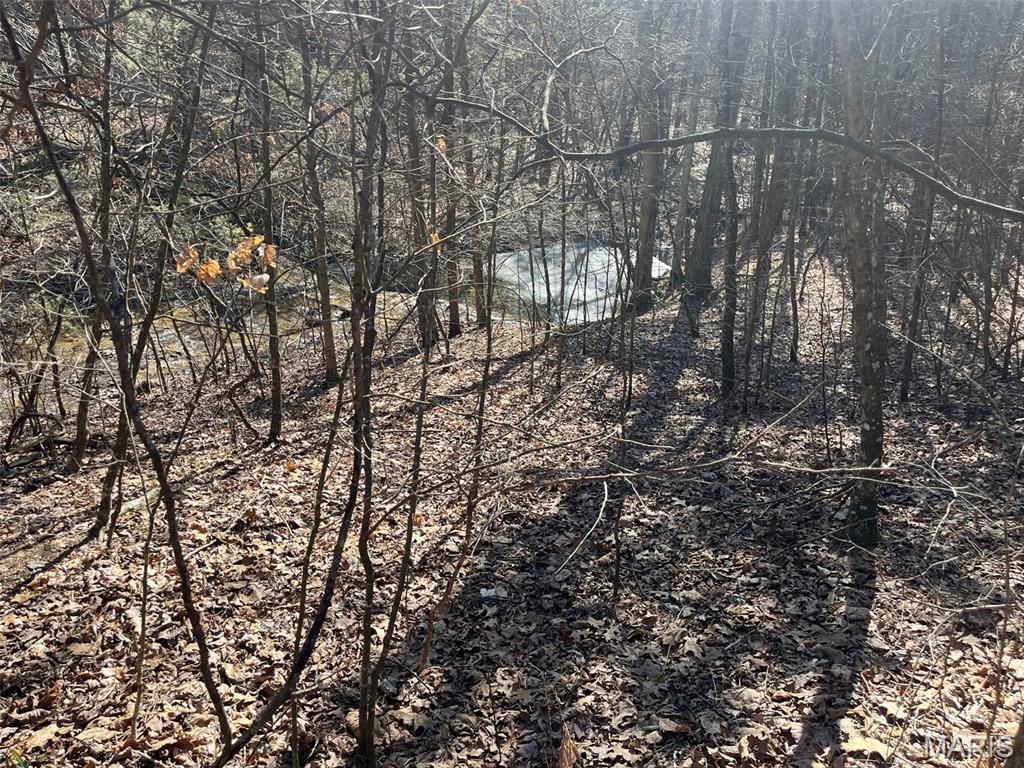 10272 Old Black River Road