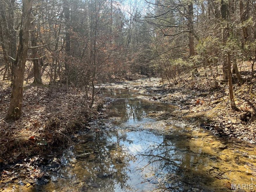 Looking for a place to build your dream home, bring a mobile home, or a cabin for hunters, here you go!  This one has started some of it for you. The 36.61 acres is mostly wooded but has a well (needs pump) and electric (needs meter) on the land. The old homestead is still partially standing but would be a great spot to build. The land also has a wet weather creek,  a small pond and wildlife gallore! Land has marketable timber also! There are no restrictions on this property. This property is located just out of Belgrade or 15 minutes from Potosi. Skys the limit!! There are two parcels. (31.61 acres and 5 acres) 
Take a look at this one!