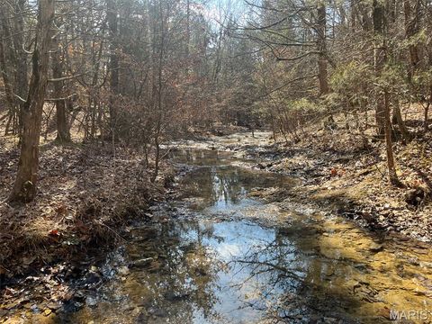 10272 Old Black River Road Potosi MO 63664