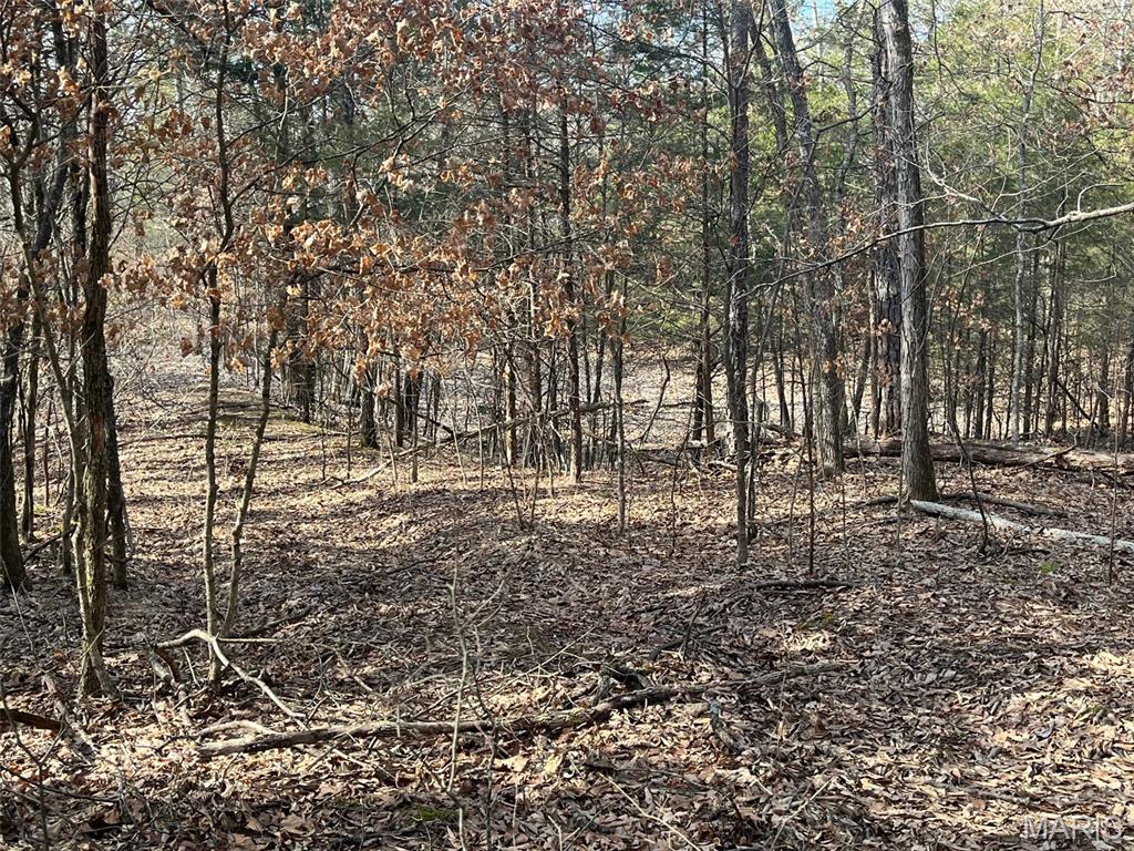 10272 Old Black River Road