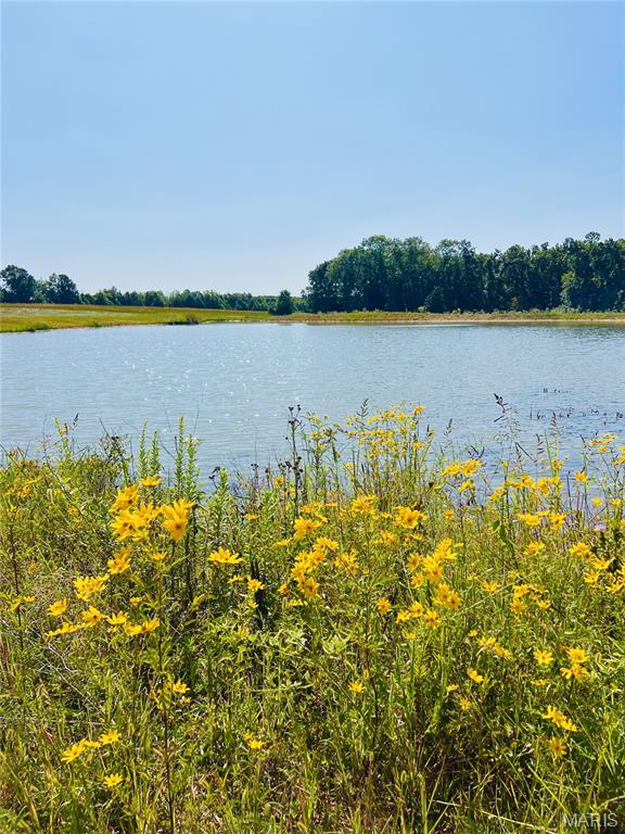 Adventure Out RV Park - Land