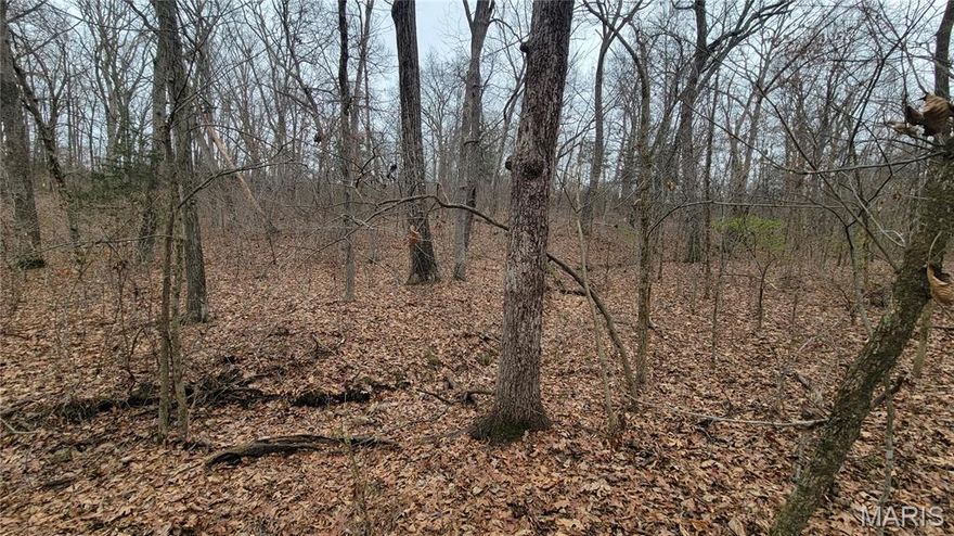 Have you been looking for land that feels like a fresh start and a breath of quiet? Tract 2 gives you 5 wooded acres where you can slow down, spread out, and finally bring those long-talked-about plans to life. The approach feels peaceful from the moment you ease down the gravel, and the trees open just enough to help you picture exactly what could go here. A future porch with morning coffee, kids roaming the woods, or a barn or shop you have always wanted.

This is the kind of acreage people wait for. Private, wooded, and close enough to town for the things you need each day. Build a home, a shouse, a barndominium, or keep it as a weekend retreat. With no restrictions, you can bring animals, start a 4H project, or shape a small hobby farm. Additional tracts are coming soon if you want more room to grow, and the completed survey gives you clarity from the start.

It is more than a piece of land. It is a blank canvas for the lifestyle you want next. Walk it, listen to how quiet it is, and picture what you could build here.