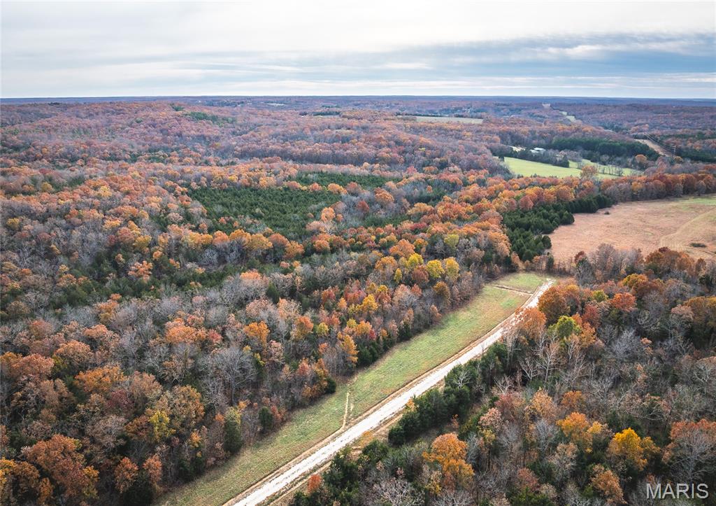 Whispering Oaks - Land