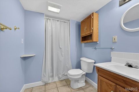 Tiny photo for 310 Berry Bush Court, Wildwood, MO 63011 (MLS # 26030852)