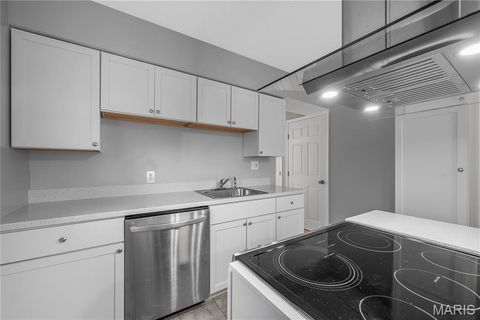 Tiny photo for 524 Couch Avenue, Kirkwood, MO 63122 (MLS # 25079176)