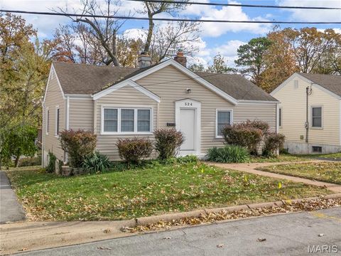 524 Couch Avenue Kirkwood MO 63122