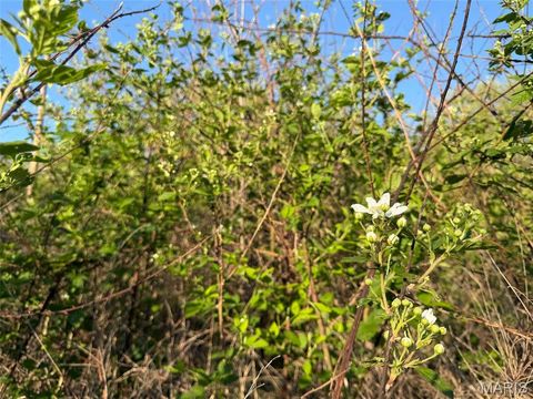 Tiny photo for 00 Wein St, Hermann, MO 65041 (MLS # 26025059)
