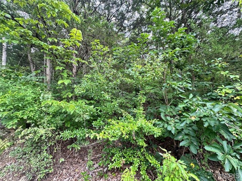 Photo of 34 Lakeshore Drive, Owensville, MO 65066 (MLS # 26058724)