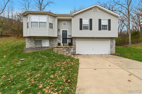 4491 Prospect Drive House Springs MO 63051