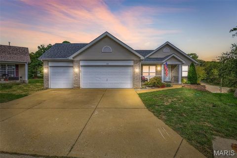 1102 Silverwillow Court Fenton MO 63026