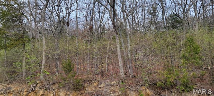 Build your dream home on this 2.25 acre wooded lot with a view of the largest (60 acres) Augusta Shores lake. Wildlife galore lives here!  Augusta Shores offers many amenities:  a gated entrance, private roads, 4 spring fed, stocked lakes, a pool, tennis courts, clubhouse, pavillion, public sewer, public water, fiber optics, underground utilities, 233 acres of common ground, docks & streetlights.  Bike the Katy Trail which is on Augusta Shores' eastern border and across Hwy 94, hike the trails in Klondike Park (also across the street), fish the lakes or just sit on your deck & watch the birds and other wildlife.  This wine country community is only 15 minutes from Hwy 40 and is within minutes of several wineries!  No time limit to build.  Use your own builder or ask the listing agent about builders in this community.