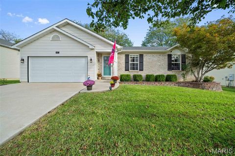 Photo of 47 Glen Meadows Drive, Troy, MO 63379 (MLS # 25068578)