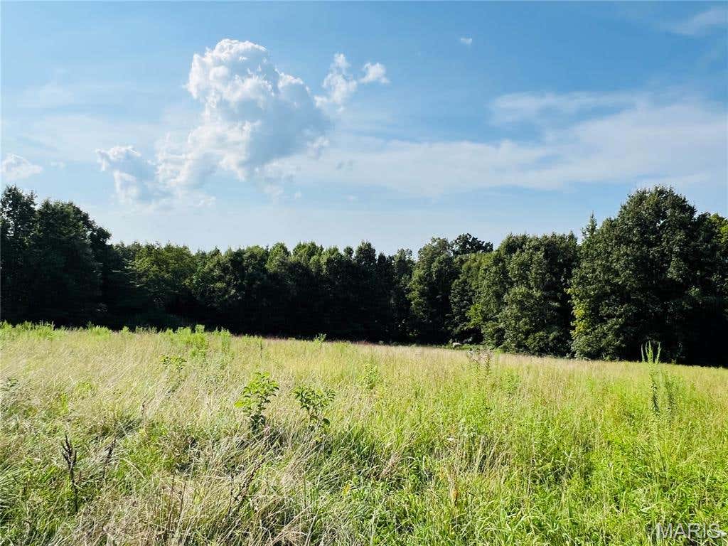 Photo of 0 County Road 646, Advance, MO 63730 (MLS # 26052250)