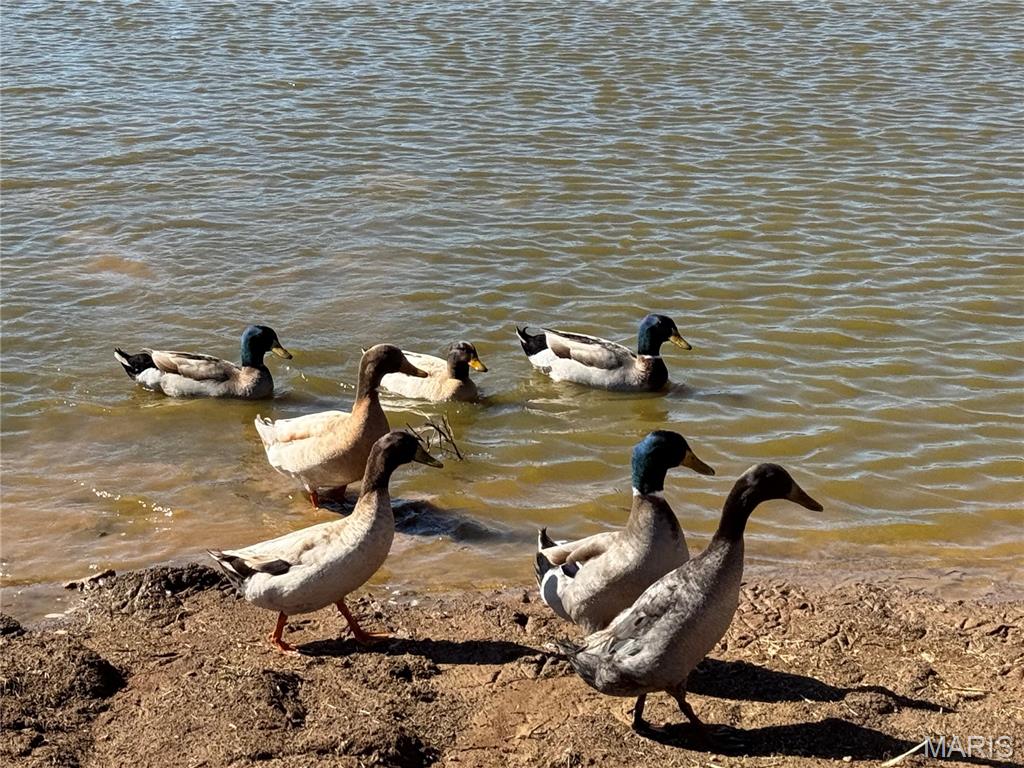 Unicorperated - Land