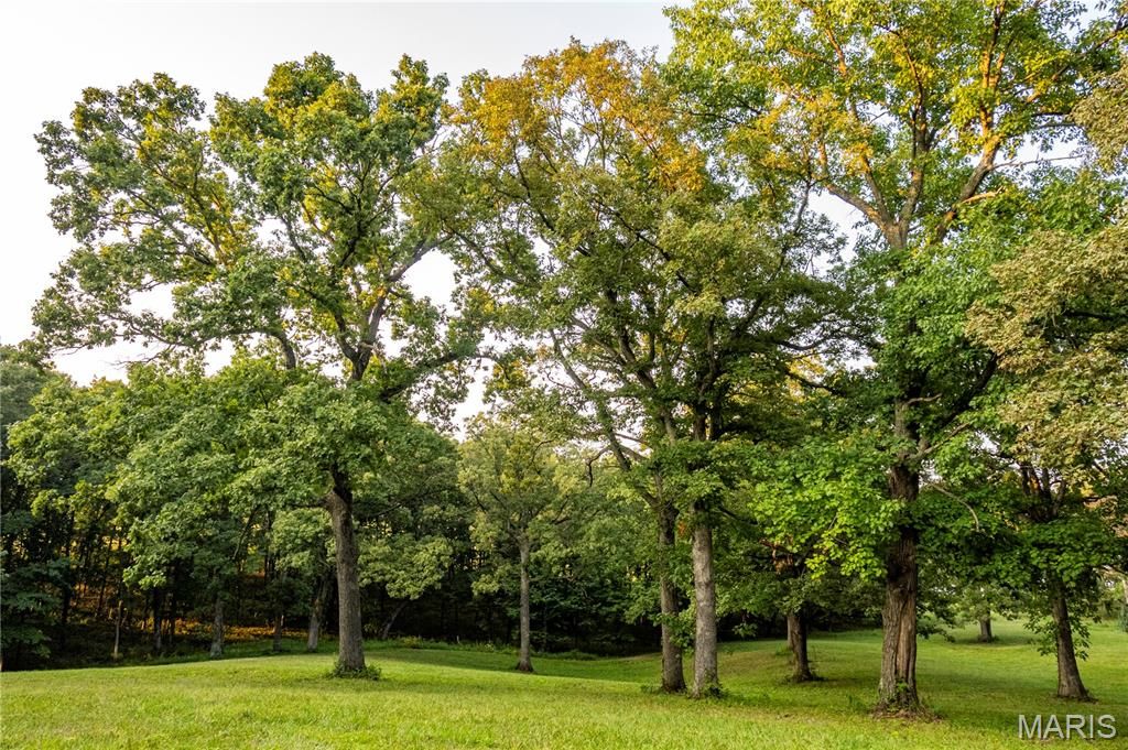 Photo of 0 Highway D - Tract 6 (22+/- Acres), Eolia, MO 63344 (MLS # 25073444)