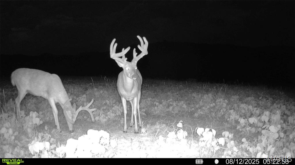 NA, N/A, None, 0 - Farm