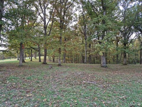 Tiny photo for 0 Highway D - Tract 6 (22+/- Acres), Eolia, MO 63344 (MLS # 25073444)