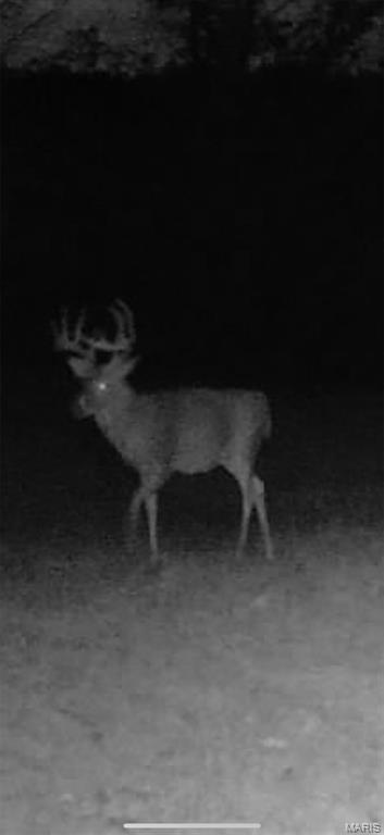 NA, N/A, None, 0 - Farm