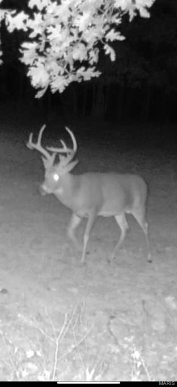 NA, N/A, None, 0 - Farm