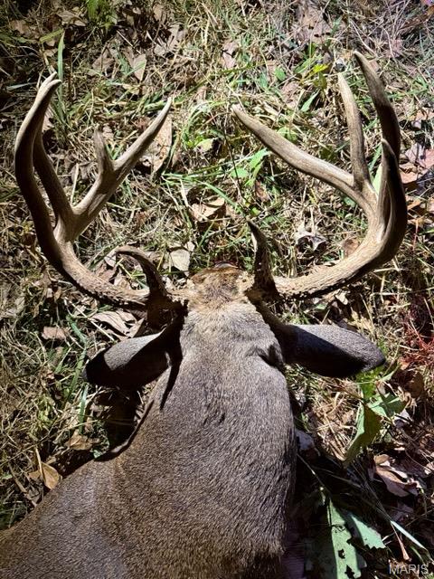 NA, N/A, None, 0 - Farm