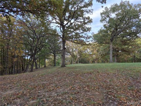 Tiny photo for 0 Highway D - Tract 6 (22+/- Acres), Eolia, MO 63344 (MLS # 25073444)