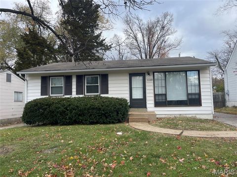 Photo of 1149 June Avenue, St Louis, MO 63138 (MLS # 26027558)