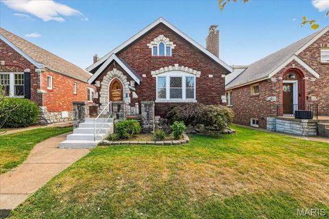 Tiny photo for 6214 Oleatha Avenue, St Louis, MO 63139 (MLS # 25070298)