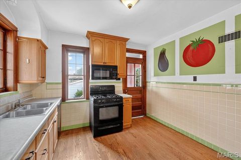 Tiny photo for 6214 Oleatha Avenue, St Louis, MO 63139 (MLS # 25070298)