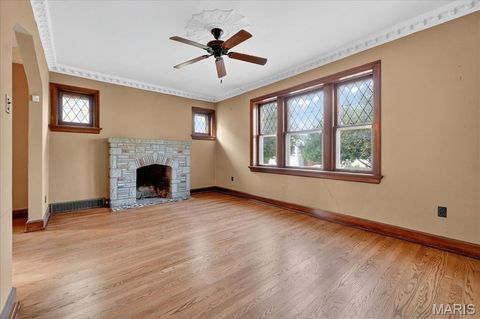 Tiny photo for 6214 Oleatha Avenue, St Louis, MO 63139 (MLS # 25070298)