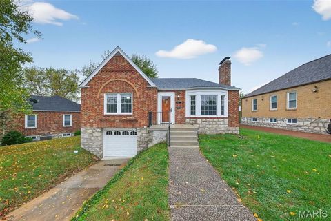 9127 Coral Drive St Louis MO 63123