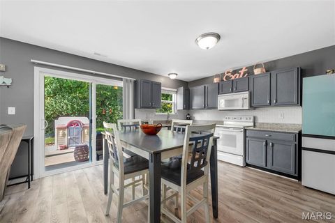 Tiny photo for 474 Flowering Magnolia Drive, OFallon, MO 63366 (MLS # 25068278)