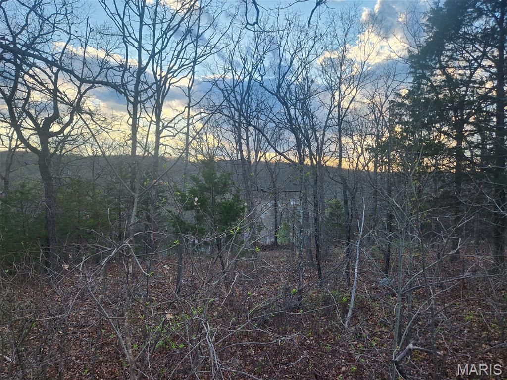 Photo of -- E Skyline drive, Owensville, MO 65066 (MLS # 26019602)