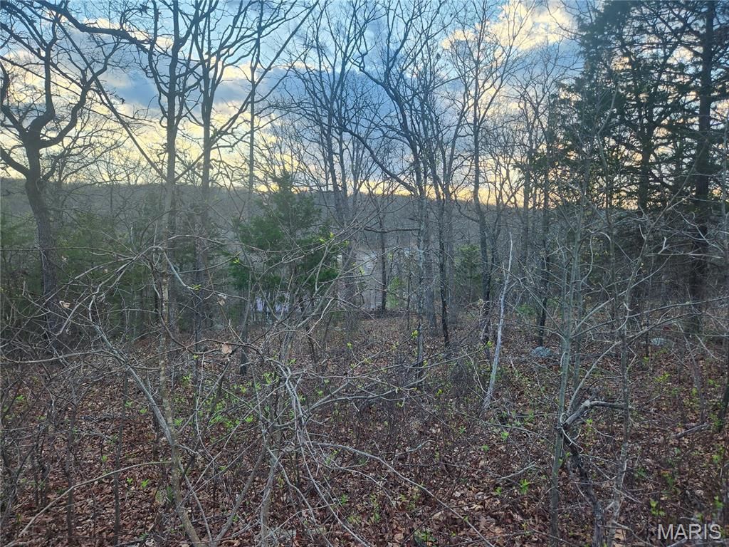 Photo of -- E Skyline drive, Owensville, MO 65066 (MLS # 26019602)