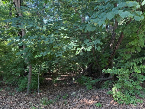 Tiny photo for 691 Castlecliff Road, Ballwin, MO 63021 (MLS # 26037522)