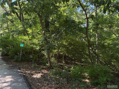 Tiny photo for 691 Castlecliff Road, Ballwin, MO 63021 (MLS # 26037522)