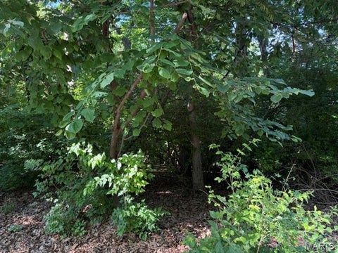 Photo of 691 Castlecliff Road, Ballwin, MO 63021 (MLS # 26037522)