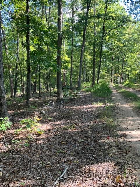 Cherokee Pass - Land