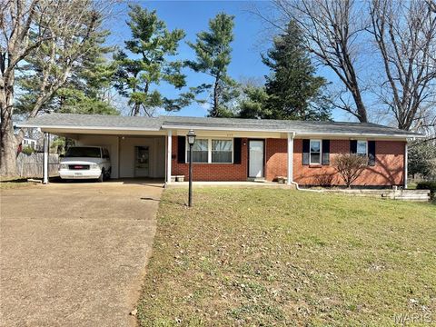 Photo of 209 Aldergate Street, Farmington, MO 63640 (MLS # 26015820)