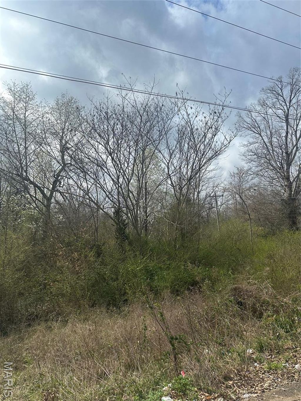 Photo of 000 Summit, Doniphan, MO 63935 (MLS # 26013749)