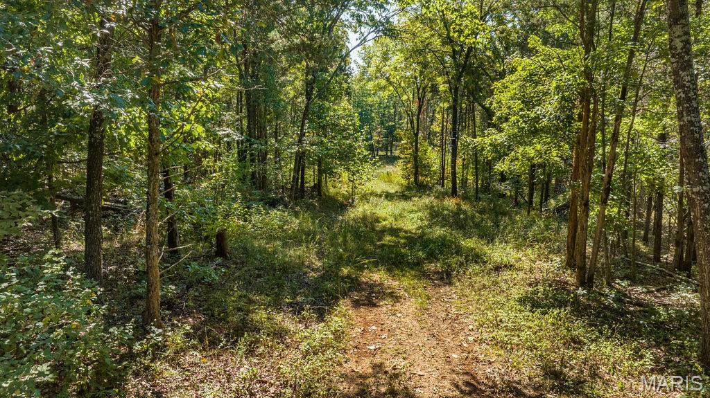 1 Canter Creek Farms