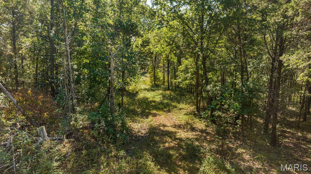 1 Canter Creek Farms