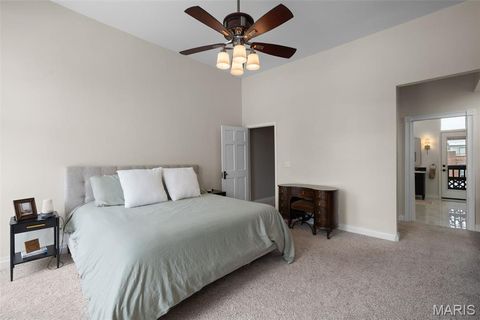 Tiny photo for 1913 Hickory Street, St Louis, MO 63104 (MLS # 25079562)