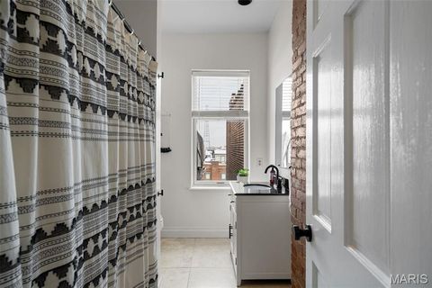 Tiny photo for 1913 Hickory Street, St Louis, MO 63104 (MLS # 25079562)