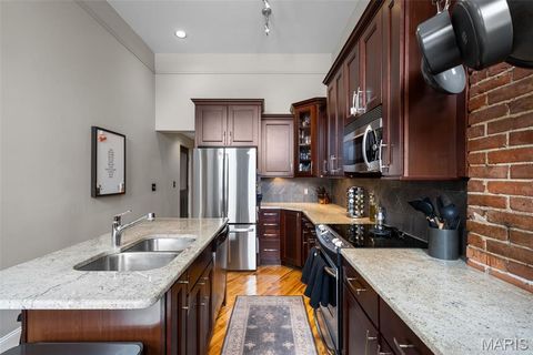 Tiny photo for 1913 Hickory Street, St Louis, MO 63104 (MLS # 25079562)