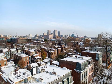 Tiny photo for 1913 Hickory Street, St Louis, MO 63104 (MLS # 25079562)