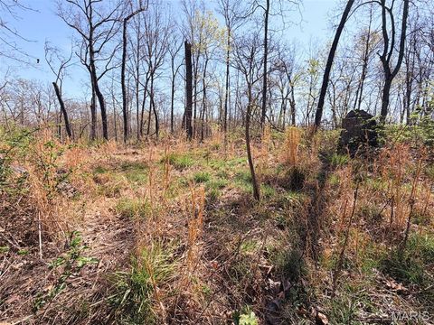 Tiny photo for 188 N Service E Road, Sullivan, MO 63080 (MLS # 26023039)