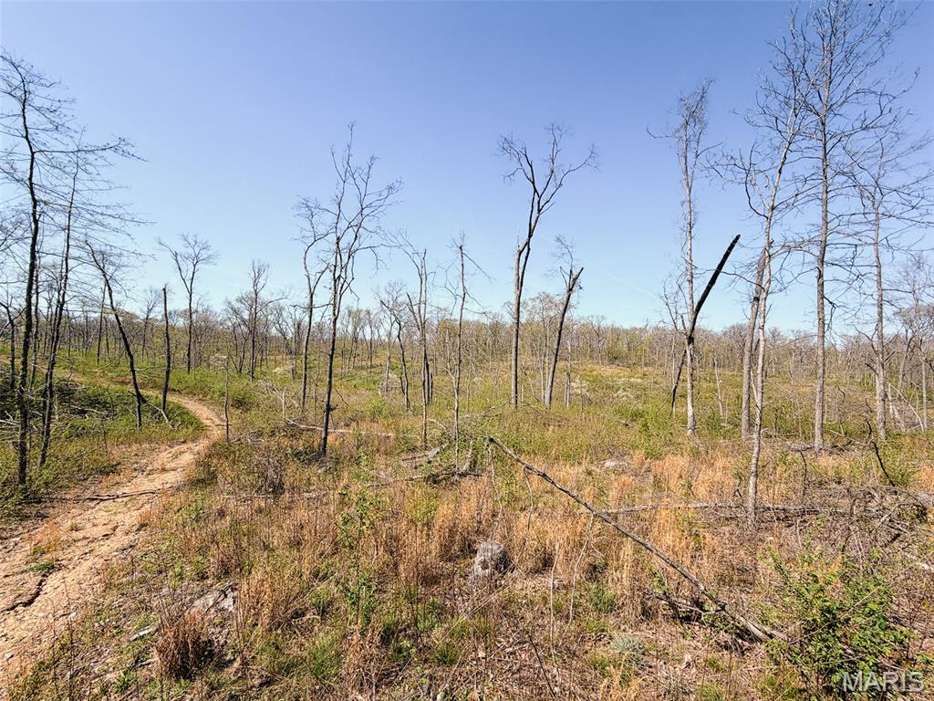 Oak Tree Farms - Farm