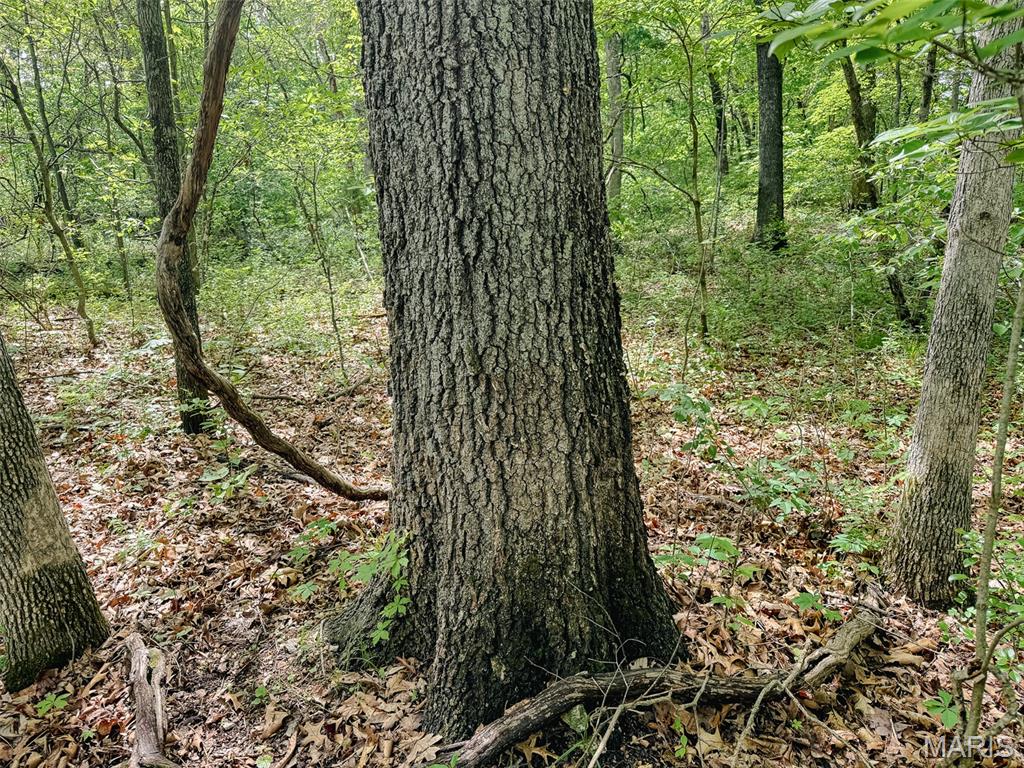 Oak Tree Farms - Farm