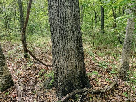Tiny photo for 188 N Service E Road, Sullivan, MO 63080 (MLS # 26023039)